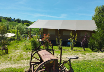 Safaritent met overkapping en veel groen bij Camping Suasa in Italië, onder een zonnige lucht en platteland.