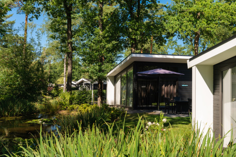 Casas vacacionales modernas en Bospark Markelo, Overijssel, Países Bajos, rodeadas de bosque y estanque.