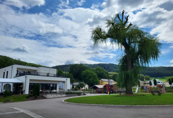 Camping Gritt à Diekirch, Luxembourg, avec bâtiments modernes, grand arbre et aire de jeux sous ciel bleu.
