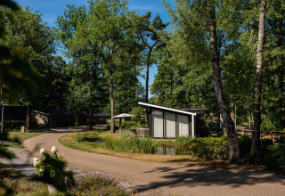 Casa vacacional en Bospark Markelo, Overijssel, Países Bajos, rodeada de árboles y caminos sinuosos.