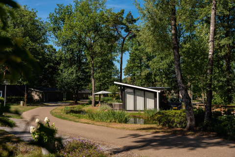 Chalet de vacances à Bospark Markelo, Overijssel, Pays-Bas, entouré d’arbres et de chemins courbés.