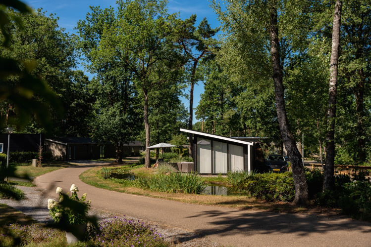 Chalet de vacances à Bospark Markelo, Overijssel, Pays-Bas, entouré d’arbres et de chemins courbés.