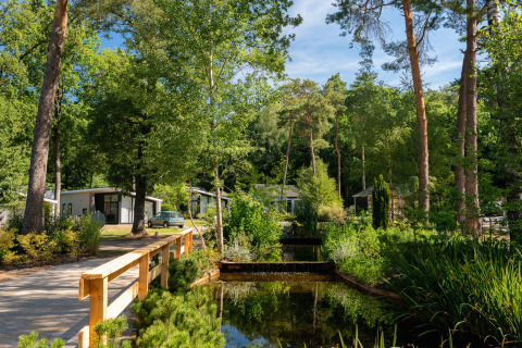 Parque vacacional Bospark Markelo en Overijssel, Países Bajos, rodeado de cabañas, árboles y arroyo.
