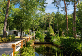 Vakantiepark Bospark Markelo in Overijssel, Nederland, met chalets, bomen en een kleine waterloop.