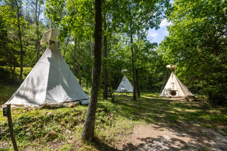 Tiendas tipi sin baños en Camping Des Randonneurs, Francia, rodeadas de árboles y vegetación verde.