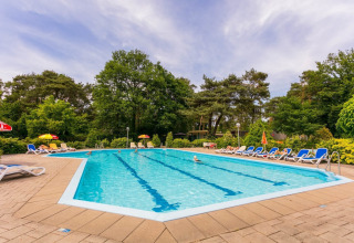 Udendørs swimmingpool - Bospark Markelo - Markelo, Twente, Overijssel, Holland