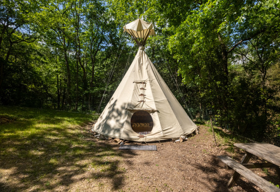 Un tipi sin baños está instalado en un claro del bosque, rodeado de árboles verdes y un banco de madera.