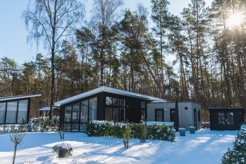 Moderne chalet in Bospark Markelo, Overijssel, Nederland, omgeven door besneeuwde dennen in de winter.