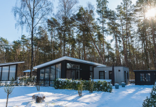 Moderne Ferienhütte im verschneiten Bospark Markelo, Overijssel, Niederlande, umgeben von Kiefern.