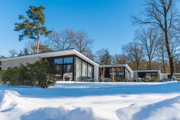 Chalets modernes à Bospark Markelo, parc de vacances enneigé en Overijssel, Pays-Bas, arbres autour.