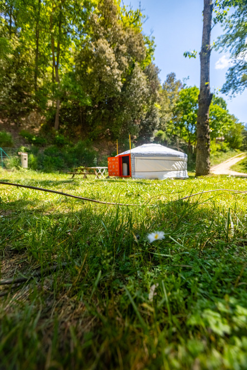 Et foto af en traditionel yurt med orange dør, omgivet af grønne træer og frodig græsplæne.