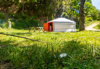 A photo of a traditional yurt with an orange door set amidst lush green grass and tall trees.