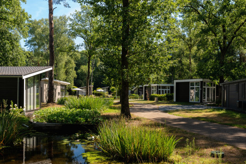 Cabañas de vacaciones en Bospark Markelo, Overijssel, Países Bajos, rodeadas de árboles y un estanque tranquilo.