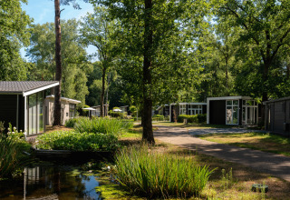 Ferienhäuser im Bospark Markelo, Overijssel, Niederlande, umgeben von Bäumen und einem kleinen Teich.