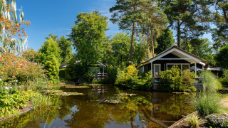 Vijver _ Lodge - Bospark Markelo - Markelo, Twente, Overijssel, Nederland