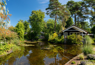 Vakantiehuisje aan vijver omringd door groene bomen en planten in Bospark Markelo, Overijssel, Nederland.