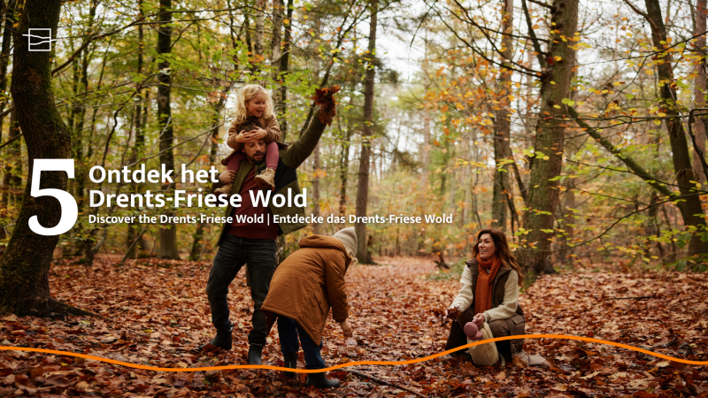 Familia disfruta el bosque otoñal Drents-Friese Wold cerca de Unbrick One | Sauna lodge rodeada de árboles.