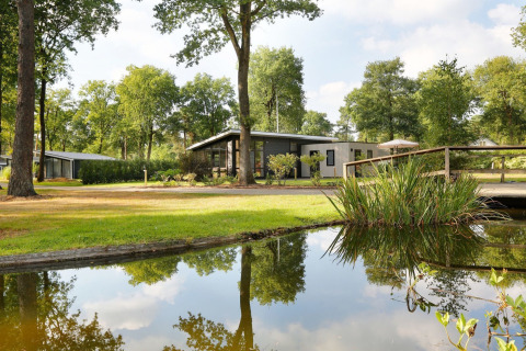 Moderne Ferienhäuser am Teich inmitten grüner Bäume im Bospark Markelo, Overijssel, Niederlande.