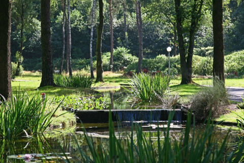 Paisaje sereno de bosque con estanque, pequeña cascada y vegetación abundante en Bospark Markelo, Overijssel, Países Bajos.