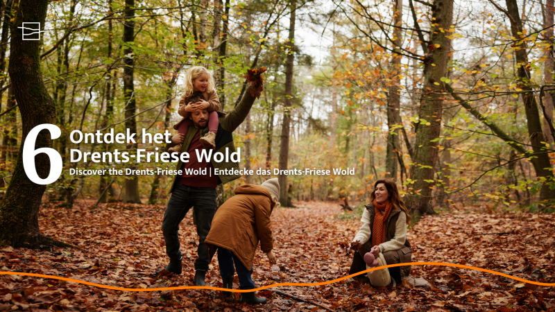 Familia disfruta el otoño en Drents-Friese Wold cerca de Unbrick One Lodge con sauna y piscina en Brinckerduyn, Países Bajos.