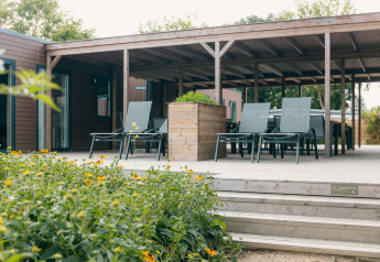 Buitenruimte van een lodge met houten terras, ligstoelen, tafels en bloeiende gele bloemen op de voorgrond.