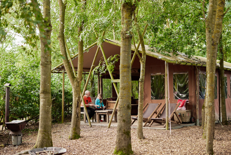 Tente safari « Tent cottage » avec douche chaude et bain nordique à Feather Down Layer Marney Tower, Royaume-Uni.