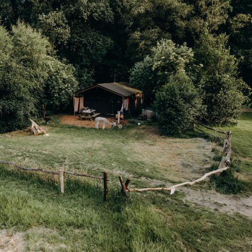 Tienda tipo safari con ducha privada y jacuzzi en Feather Down Landgoed Volenbeek, Países Bajos, rodeada de naturaleza.