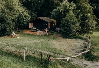 Tienda tipo safari con ducha privada y jacuzzi en Feather Down Landgoed Volenbeek, Países Bajos, rodeada de naturaleza.