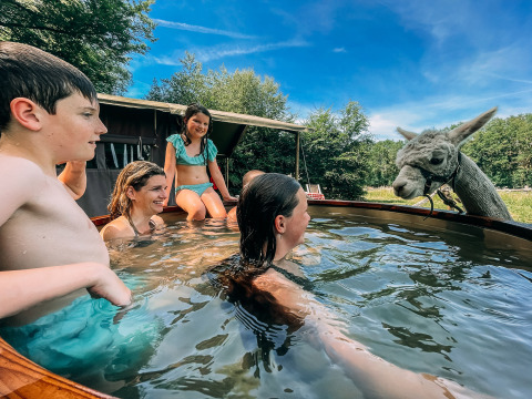 Familia disfruta de una bañera caliente con una alpaca curiosa junto a su tienda en Feather Down Landgoed Volenbeek.