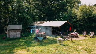 Tenda safari con doccia privata calda, vasca idromassaggio e natura verdeggiante tutto intorno.