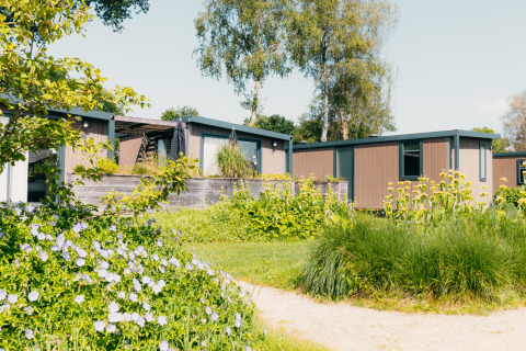 Modernas tiny houses en Holiday park De Boshoek, Países Bajos, rodeadas de exuberantes jardines verdes.