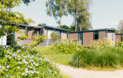 Modern tiny houses at Hotel Lodge in Holiday park De Boshoek, Netherlands, surrounded by summer greenery.
