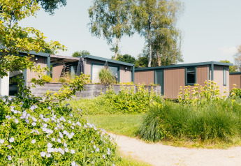 Tiny houses modernes à l’hôtel Lodge du Holiday park De Boshoek, Pays-Bas, entourées de verdure.