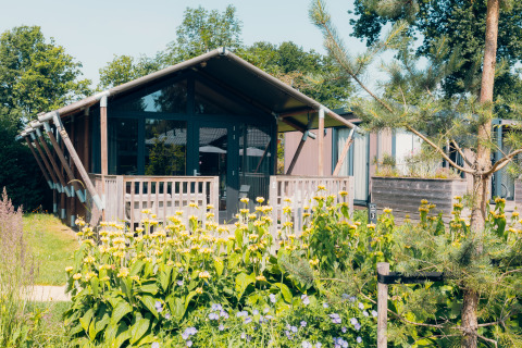 Tiny Safari House con terrazza in legno, circondato da fiori gialli e verde rigoglioso, giornata soleggiata.