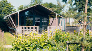 Tiny Safari House safari tent, surrounded by vibrant flowers and lush greenery, under a clear sky.