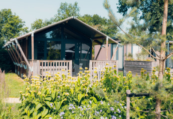 Tiny Safari House safari tent, surrounded by vibrant flowers and lush greenery, under a clear sky.