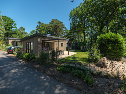 Udendørs billede af Loevestein Comfort lodge med moderne træfacade, terrasse og grønne omgivelser.