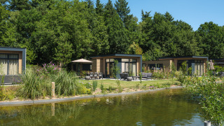 Modern lodges with terraces by a pond surrounded by greenery at Veluwepark de Bosgraaf, Cannenburch, Netherlands.