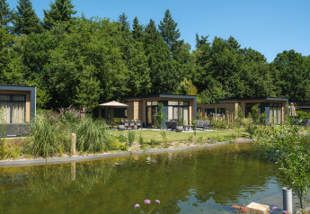 Moderne lodges ved en lille sø omgivet af skov i Veluwepark de Bosgraaf, Cannenburch, Holland.