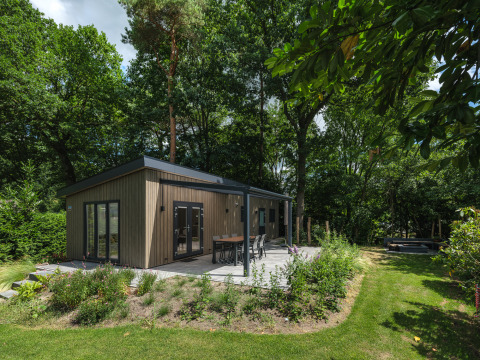 Modern Loevestein Deluxe lodge at Veluwepark de Bosgraaf, surrounded by lush greenery and tall trees.