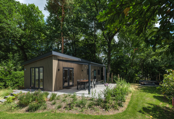 Loevestein Deluxe Lodge im Veluwepark de Bosgraaf, umgeben von üppiger Natur und hohen Bäumen.