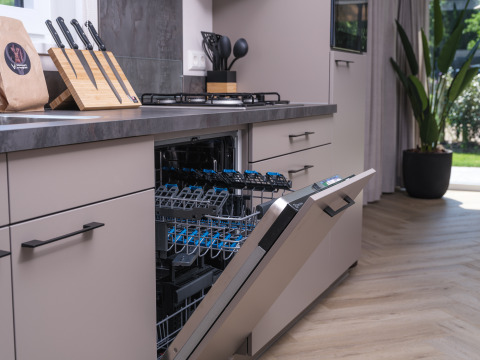 Moderne lodgekeuken met open vaatwasser, messenblok op het aanrecht en grote plant bij de deur.