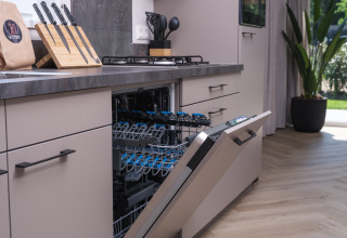 Moderne lodgekeuken met open vaatwasser, messenblok en grote kamerplant bij het glasraam naar de tuin.