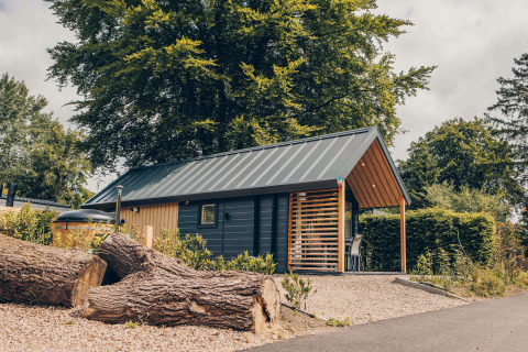 Tiny Loft with hot tub at Veluwepark de Bosgraaf in the Netherlands, tree logs in front, forest setting.