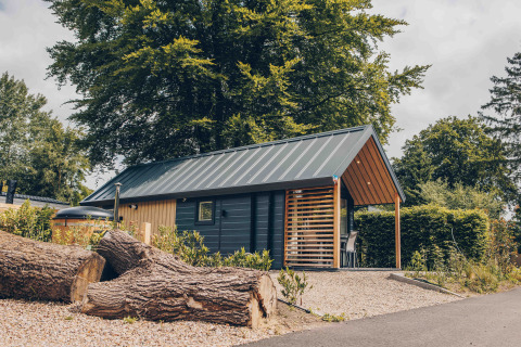 Tiny Loft with hot tub at Veluwepark de Bosgraaf in the Netherlands, tree logs in front, forest setting.