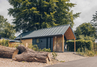 Tiny Loft met hottub bij Veluwepark de Bosgraaf in Nederland, boomstammen op de voorgrond, groene omgeving.