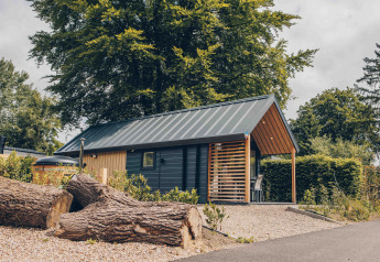 Tiny Loft with hot tub at Veluwepark de Bosgraaf in the Netherlands, tree logs in front, forest setting.