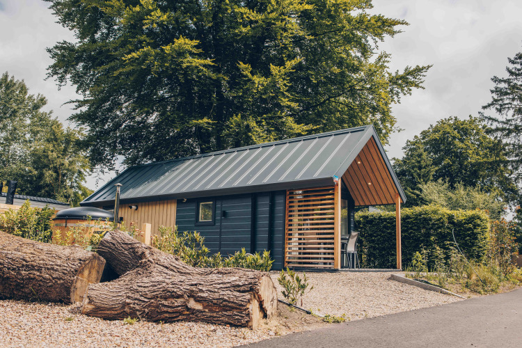 Tiny Loft con jacuzzi en Veluwepark de Bosgraaf, Países Bajos, troncos de árboles frente a la casa.