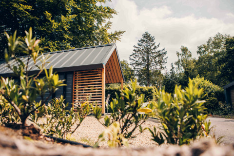 Tiny house moderne Tiny Loft au Veluwepark de Bosgraaf, Pays-Bas, entourée de verdure et d’arbustes.