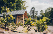 Modern tiny house Tiny Loft at Veluwepark de Bosgraaf, Netherlands, surrounded by trees and bushes.